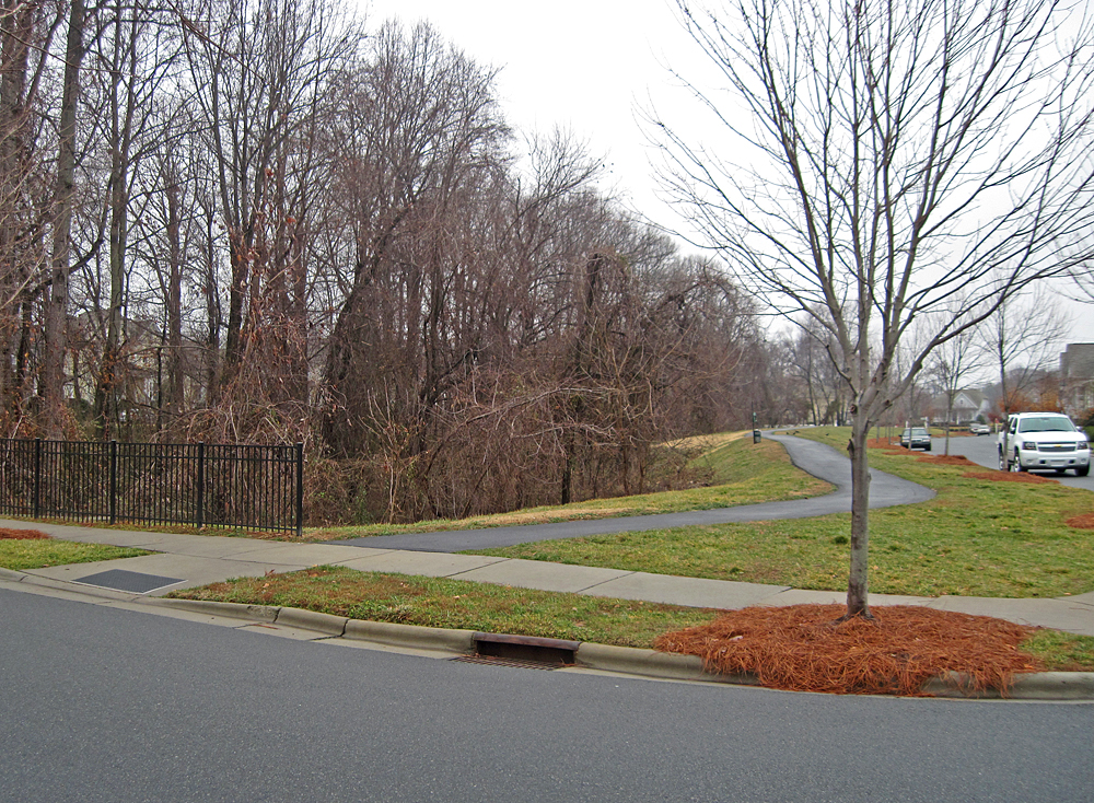 Birkdale Village walking path in Huntersville Tree-lined path beside natural park land in Birkdale Village, Huntersville